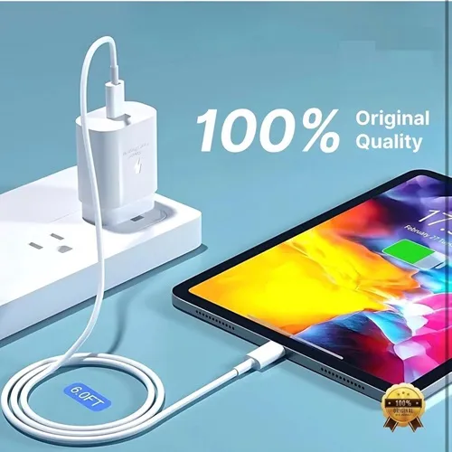 Samsung Original Charger 